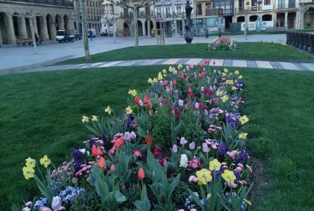Parterres