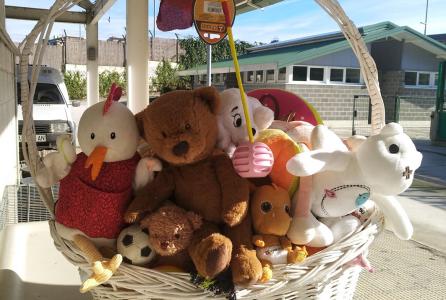 Regalos animales