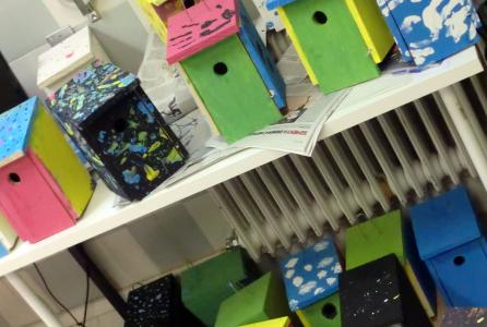 cajas nido