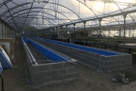 secadero de plantas