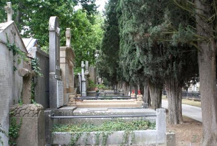 cementerio municipal de San José
