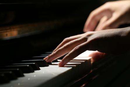 Pamplona Acción Musical