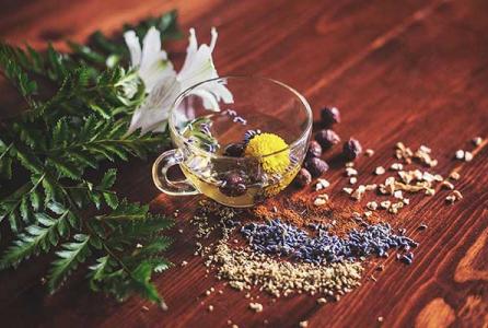 taller de plantas medicinales