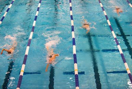 natación para personas adultas