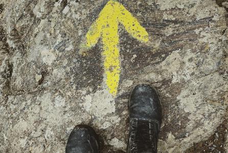 camino de santiago