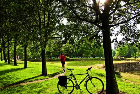 limpieza parques