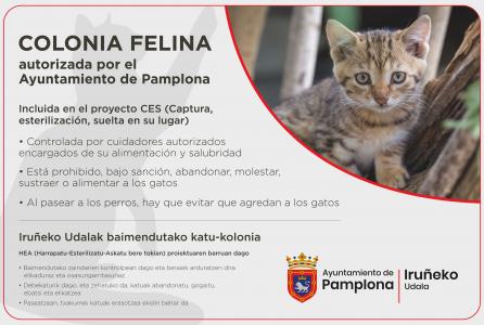 colonias felinas