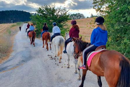 paseos a caballo