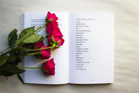 XIV Premio Internacional de Poesía ‘Ciudad de Pamplona-Iruña Hiria’