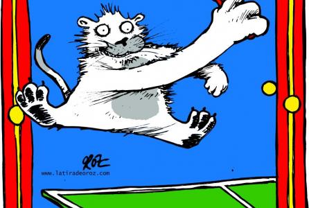 tenis de mesa