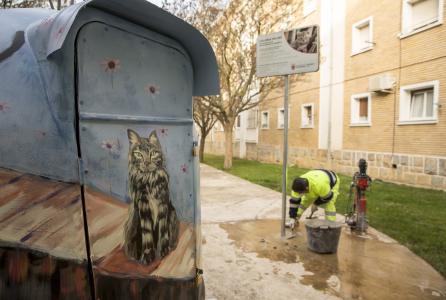 contenedores de gatos