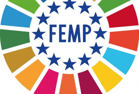 logo femp