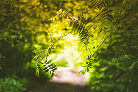 programa-sentir-la-naturaleza
