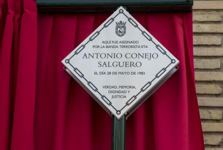 Placas