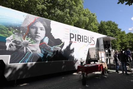 Piribus