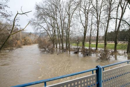 Río Arga 