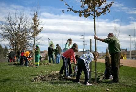 dia_arbol_2013_2.jpg