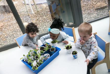 esc_infantil_municipal_medillorri_ee5a9660.jpg