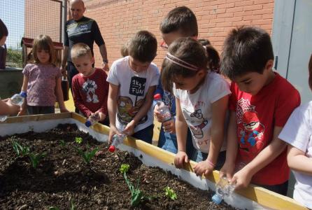 18.05.11_huertos_escolares_sanduzelai.jpg