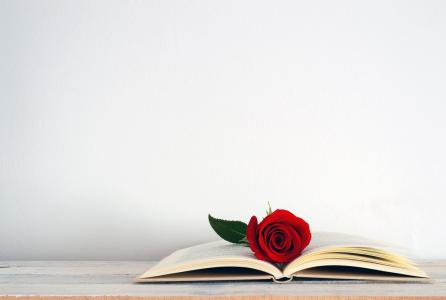 libro_rosa-web.jpg