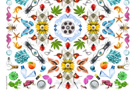 Ecozine
