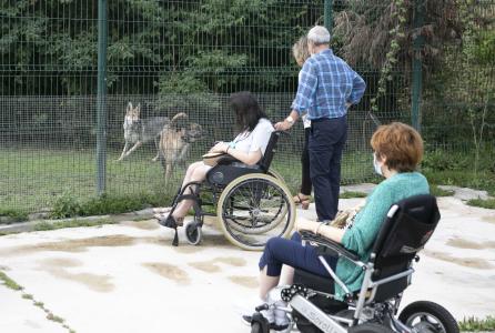 esclerosis_visita_animales_ee5a4328.jpg