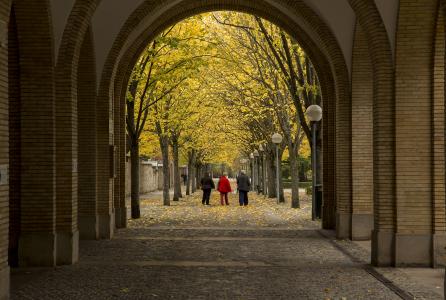 cementerio de pamplona en otoño