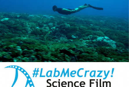 labmecrazy.png