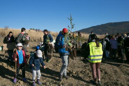 Unos voluntarios en la plantación de un bosque