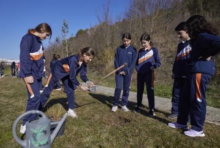 niños plantando