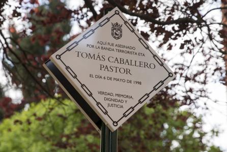 tomas caballero