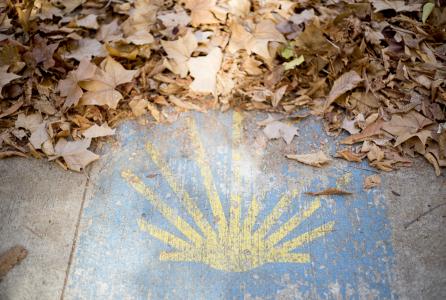 camino de santiago
