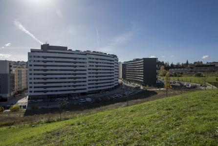ripa