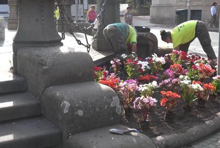 flores