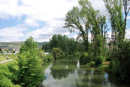 paseo_del_arga_1.jpg