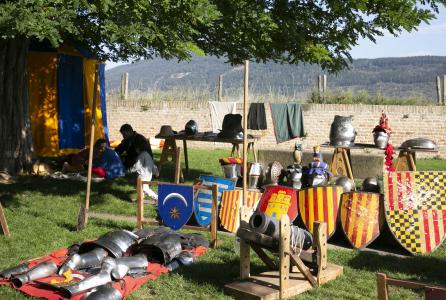 recreacion_campamento_privilegio_e5a5208.jpg