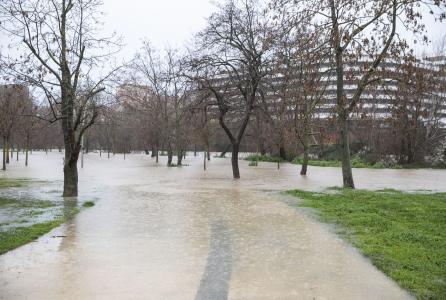 Crecida Río Arga
