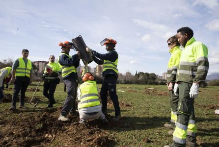 Foto plantación