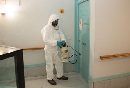 Desinsectación apartamento tutelado Tulebras