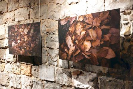 Expo Jaio Lertxundi