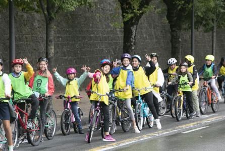 bicicletada