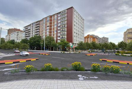 Pío XII