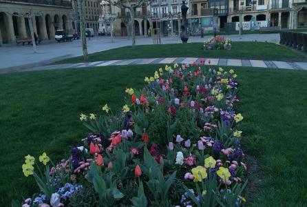 parterres Plaza del Castillo