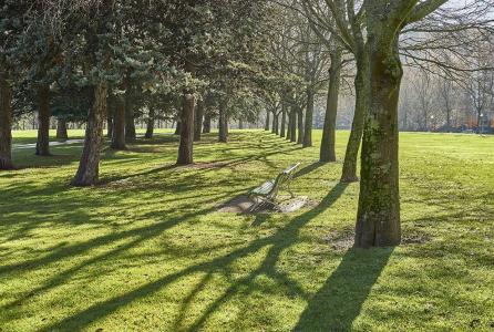 zona_verde_jardin_parque_copia.jpg