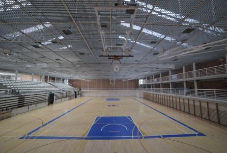 Polideportivo Arrosadia 