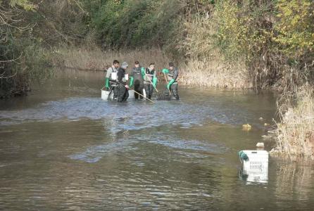 Pesca eléctrica 