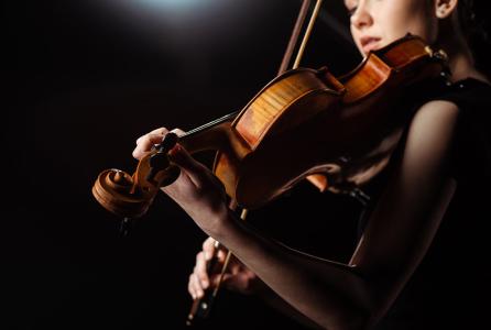 violín