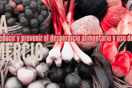 desperdicio.png