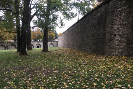 Mantenimiento murallas