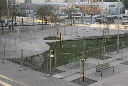 renaturalización patios escolares